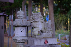 印西市岩戸の宗像神社(3)