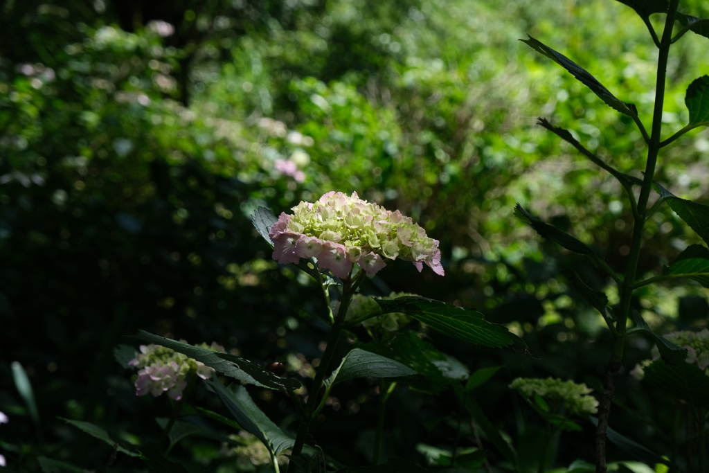 DIC川村記念美術館 (13)