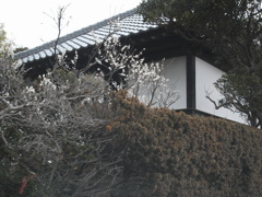 農家の風景