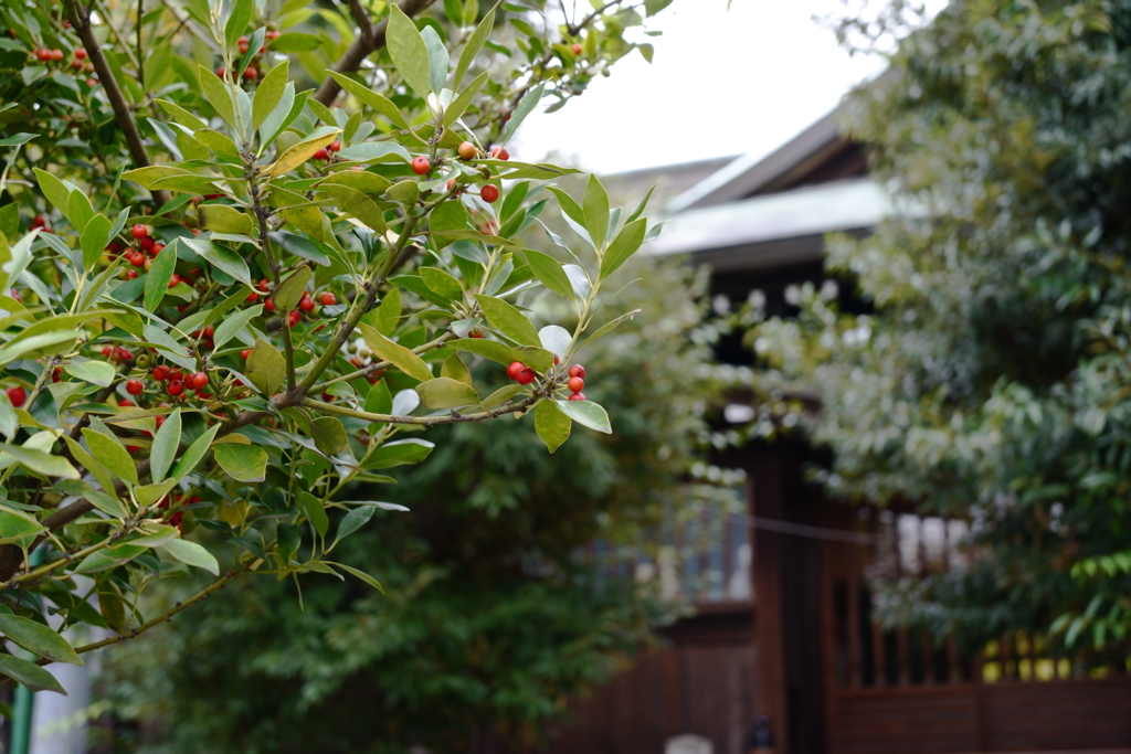 小村井香取神社