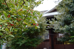 小村井香取神社