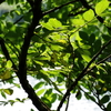 調整池（２）