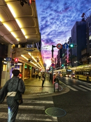 西を見ても