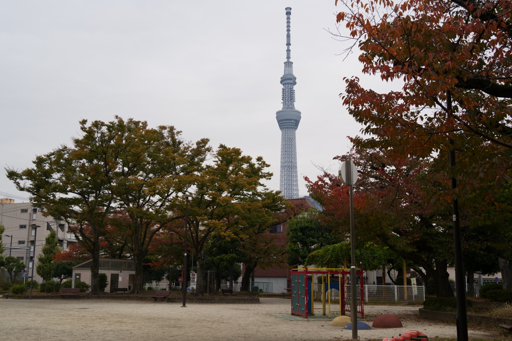 文花宮前橋公園