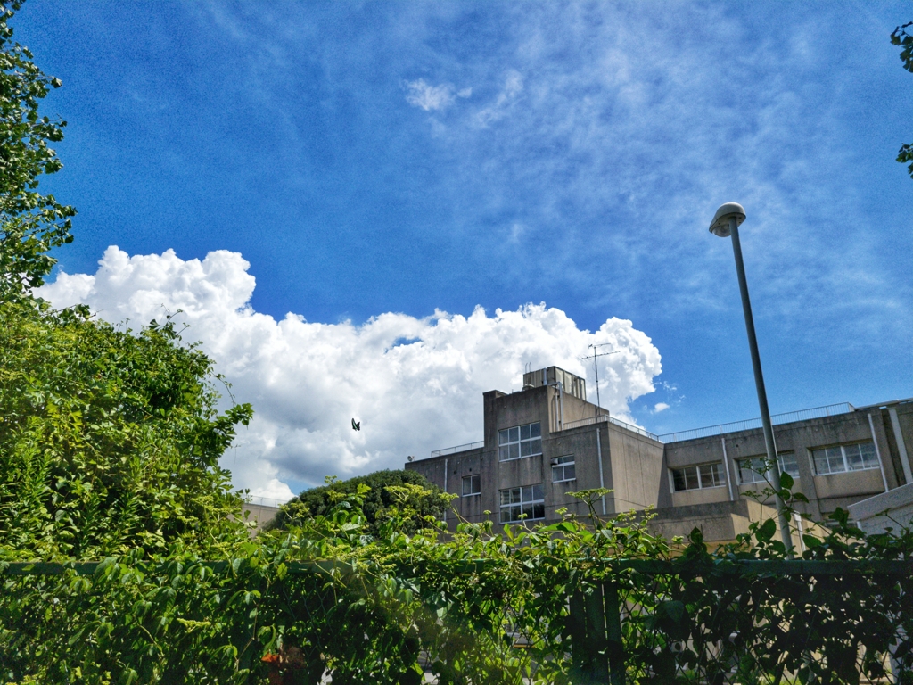 ９月の空
