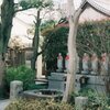 墓参