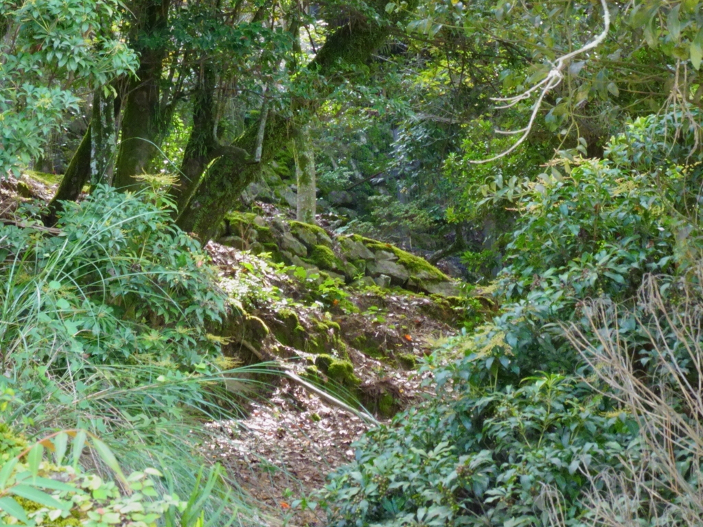 石垣