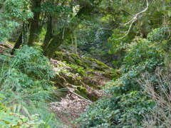 石垣