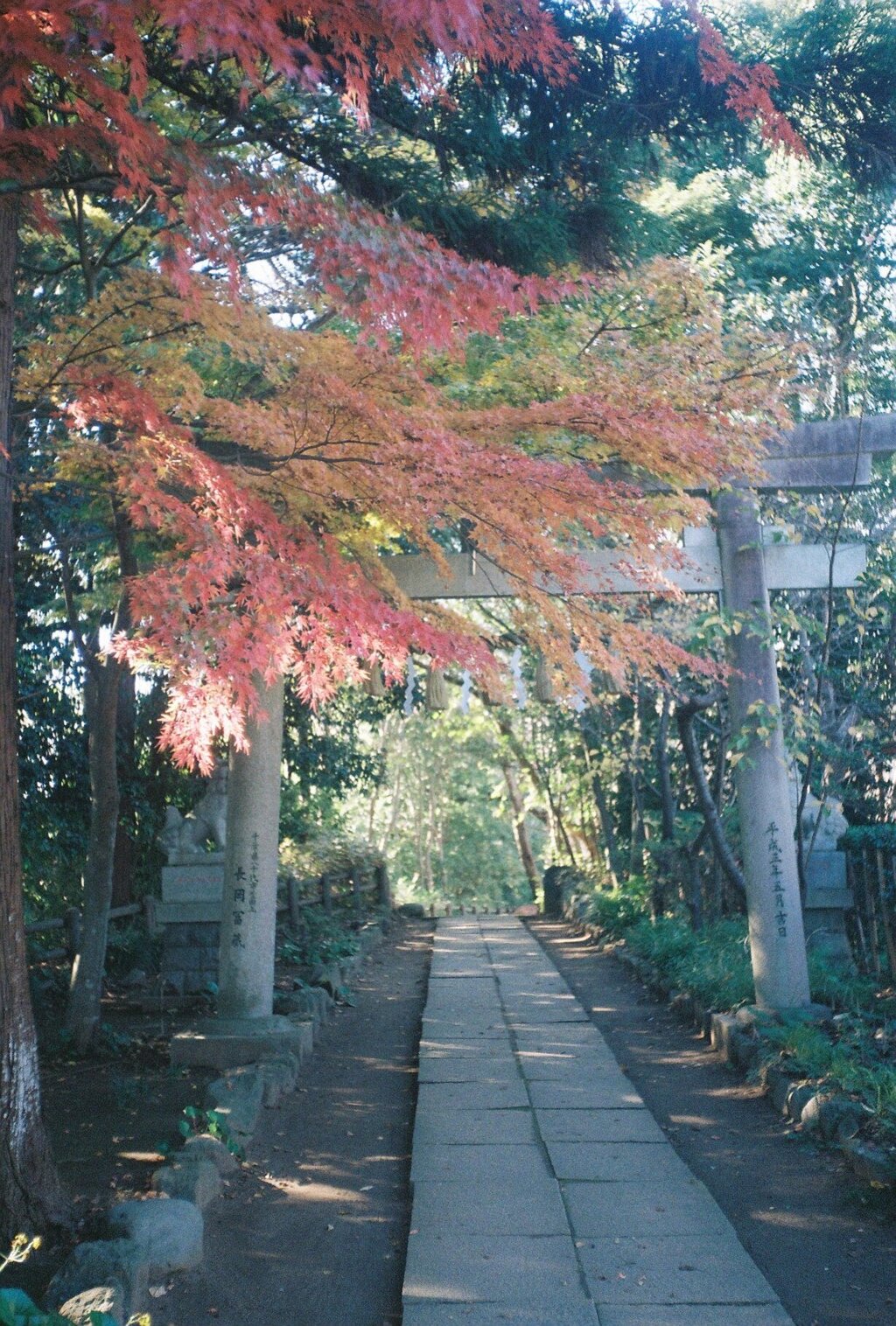 飯綱神社 (film1)