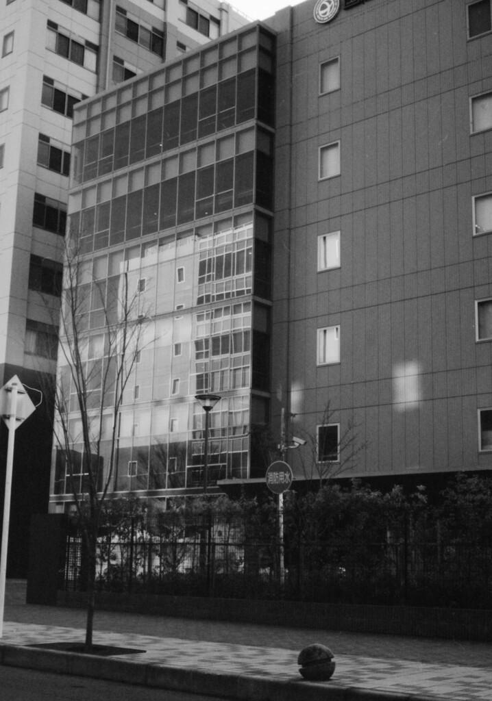 大学の建物
