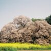 正面に向かいます