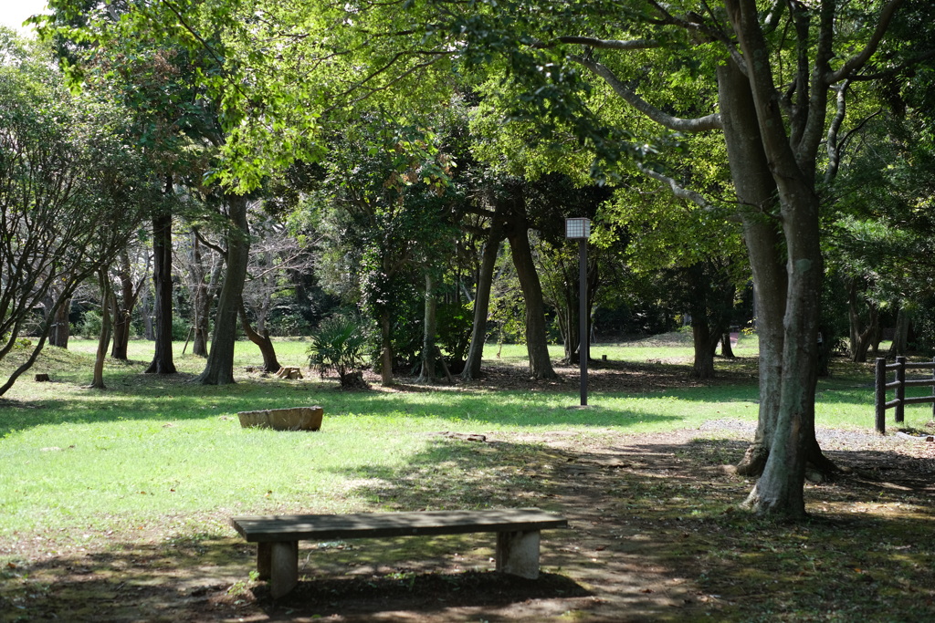 臼井城址公園（４）