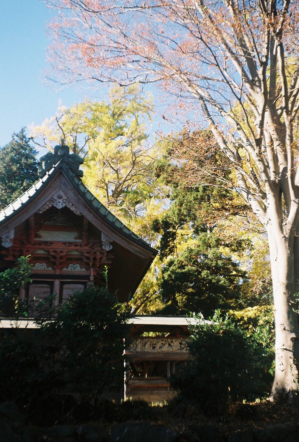 飯綱神社 (film3)