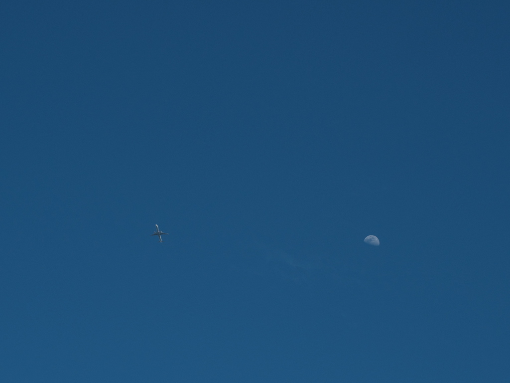 空には航空機と月