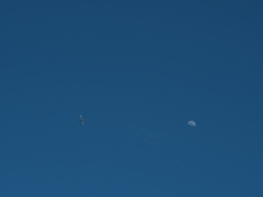 空には航空機と月