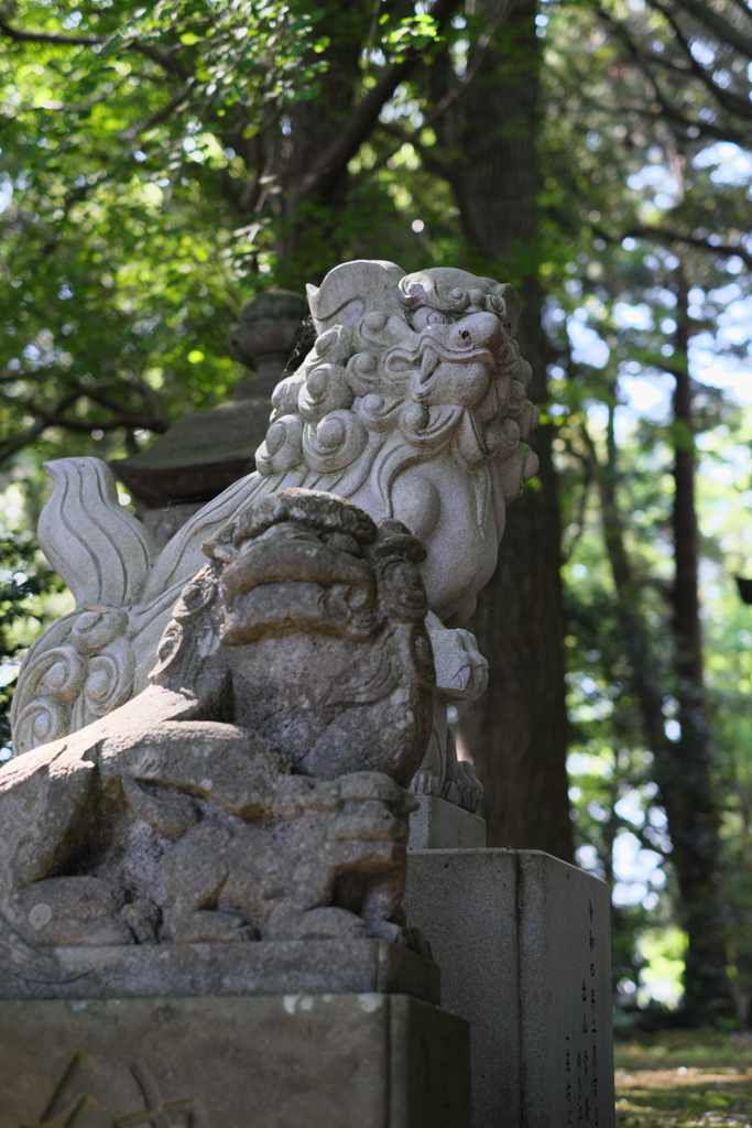 先崎鷲神社の狛犬