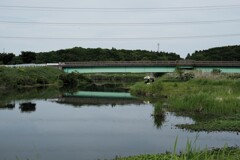 5月の支流