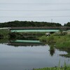 5月の支流