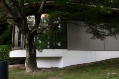 DIC川村記念美術館 (1)