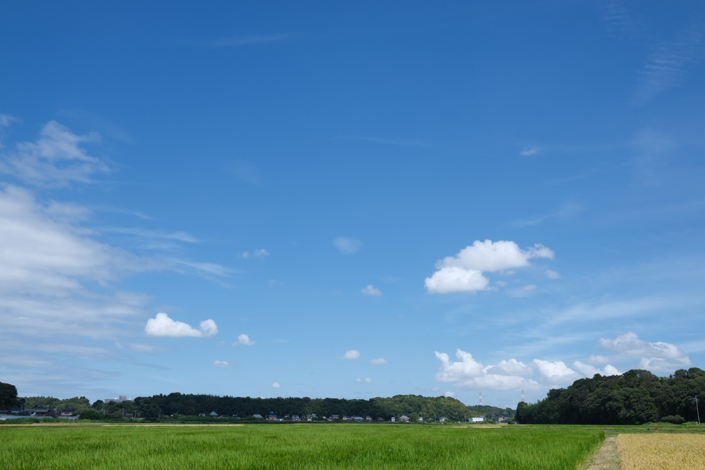 収穫期の秋空（１）