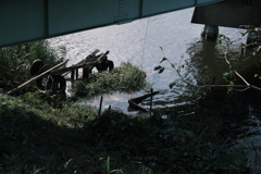 秋の河畔（１）
