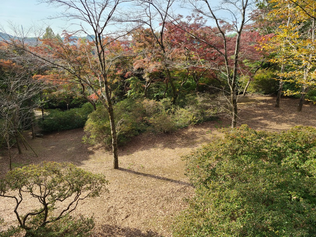 清水公園　秋