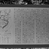 米本城址（１）