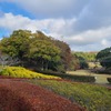 森の遊び場