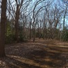 冬の公園 (2)