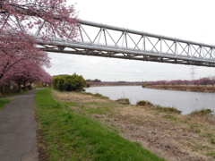 千本桜