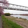 千本桜