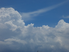夏の雲（２）