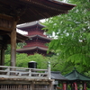 境内