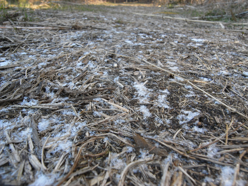 滑る散歩道（２）