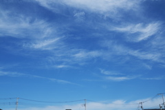 秋空