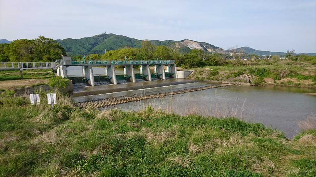 桜川と堤