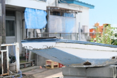 水産センター