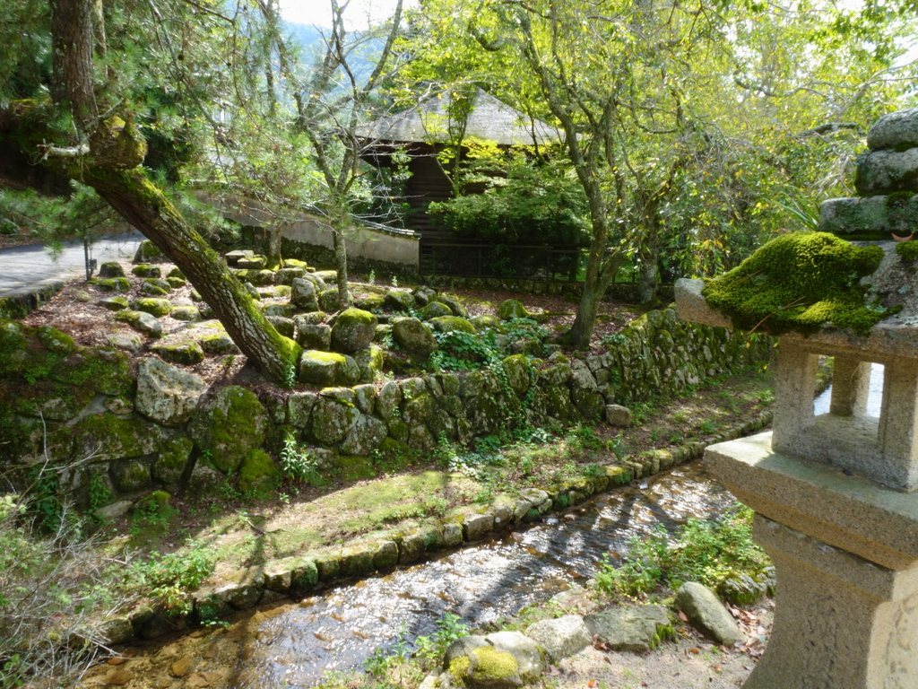 苔むす