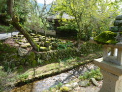 苔むす