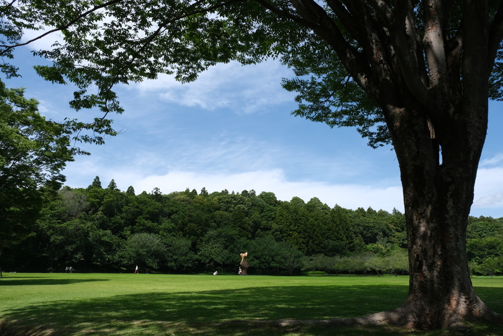 DIC川村記念美術館 (8)