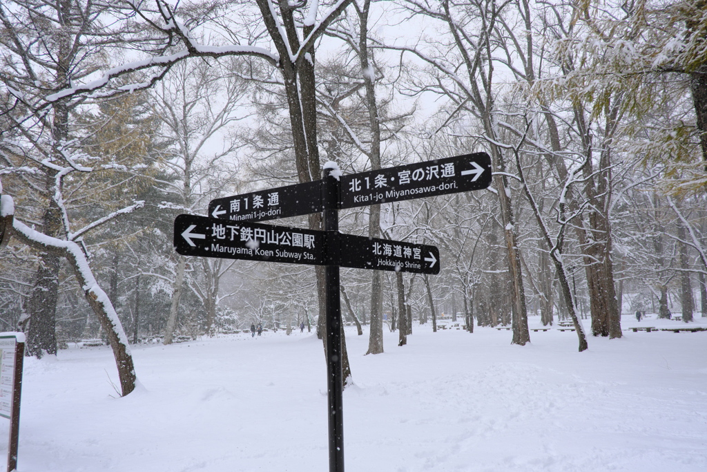 円山公園