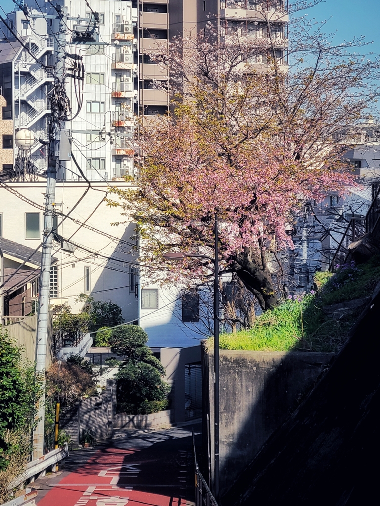異人坂
