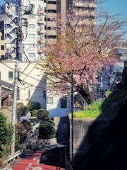 異人坂