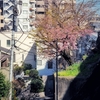 異人坂