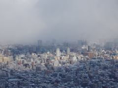 藻岩山から（２）