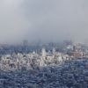 藻岩山から（２）