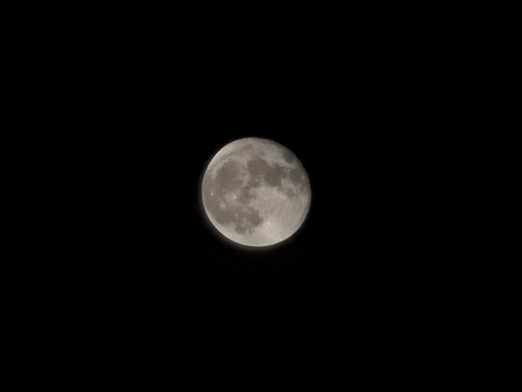 今晩の月