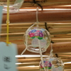 風鈴の中の朝顔
