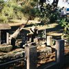 水神社