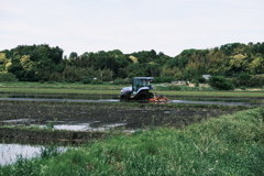 田植えの季節（２）